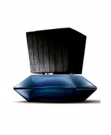 Adolfo Dominguez Private Collection Ambar