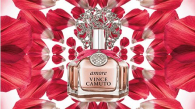 Vince Camuto Amore Limited Edition