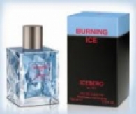 Iceberg Burning Ice